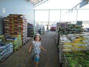 Celodenní výlet Mnichovo Hradiště